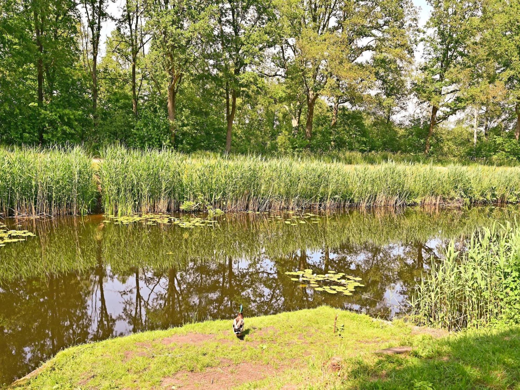 Chalet With Gorgeous View Of The Natural Surroundings Weerselo Exterior foto
